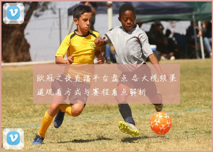 欧冠之夜直播平台盘点 各大视频渠道观看方式与赛程看点解析